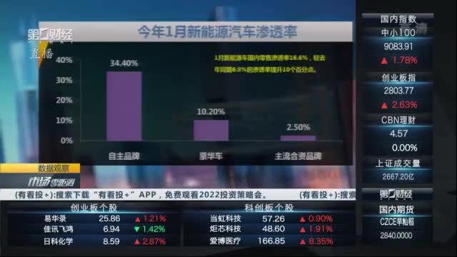 新能源汽车板块早期信息概览，引领绿色出行新时代
