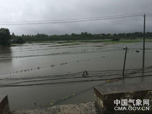 合肥三河最早汛情的探索解析