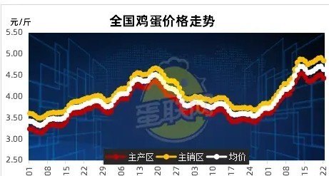 西安今日鸡蛋价格一览