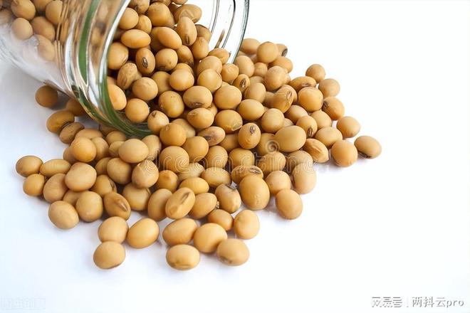 进口大豆最早价格走势分析