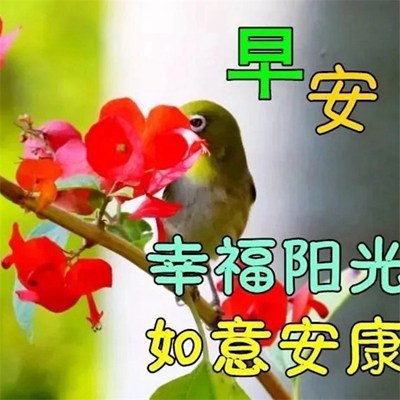早晨的第一张问候图片，唤醒温馨的每日初启