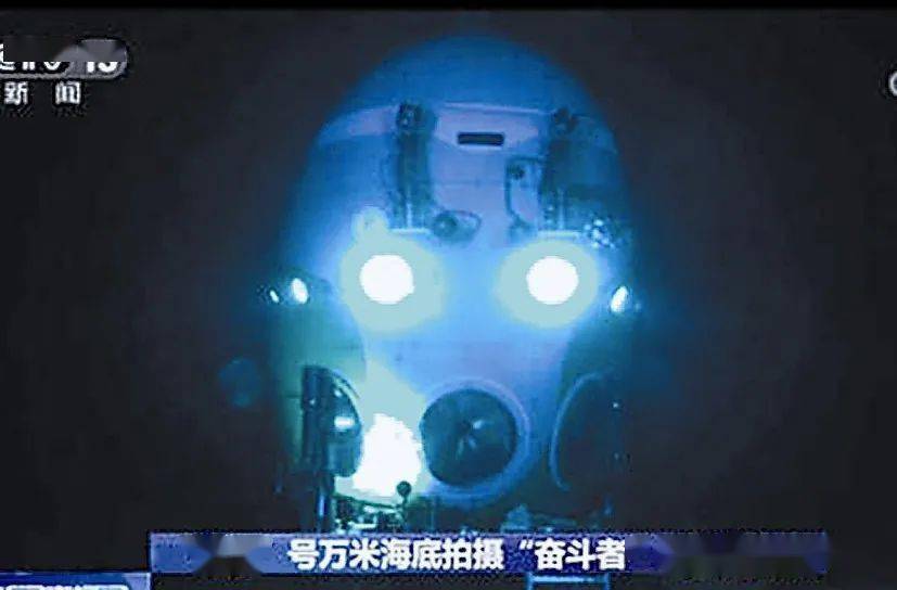 五蕙兰 第3页