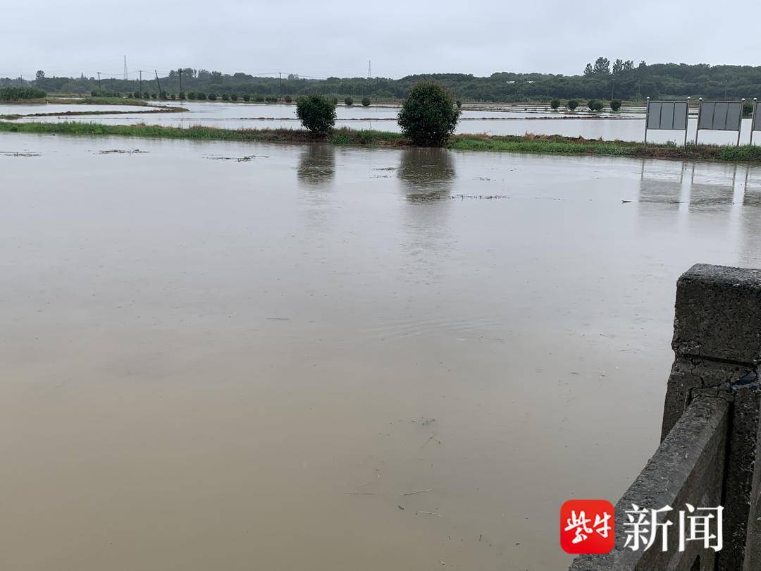 镇江暴雨突袭，城市应对能力的考验