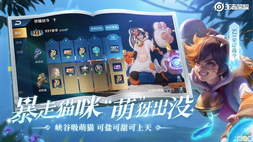 王者荣耀早期竖名软件，历史、特点与演变