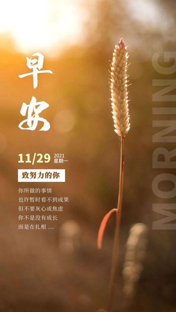 一周早晨的首度魅力体验