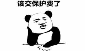 揭秘硬蛋前沿科技项目的诞生与突破首闻