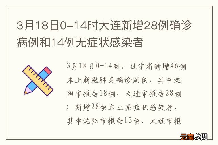 大连首例疫情确诊病例及其影响概述