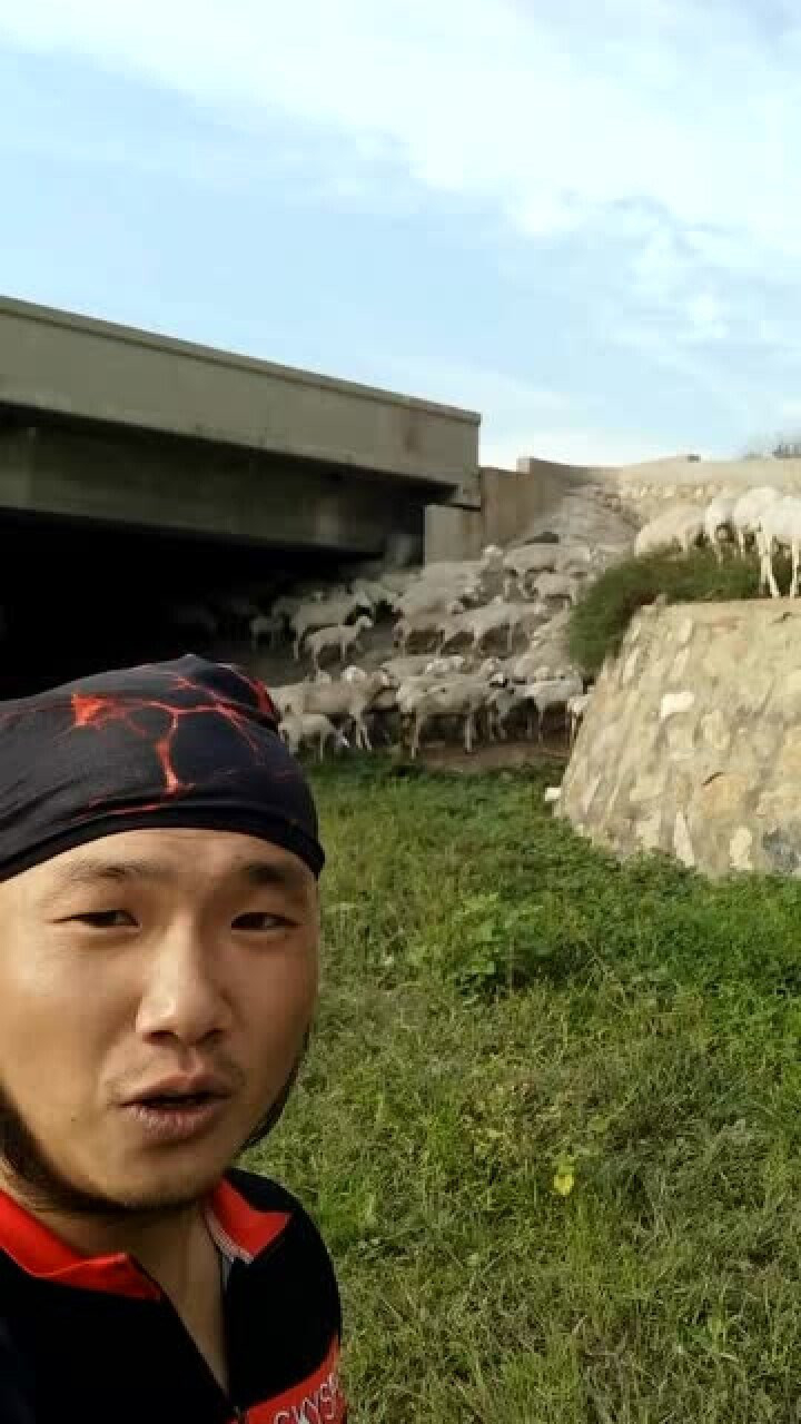 阿秋最新消息揭晓，未知序幕开启