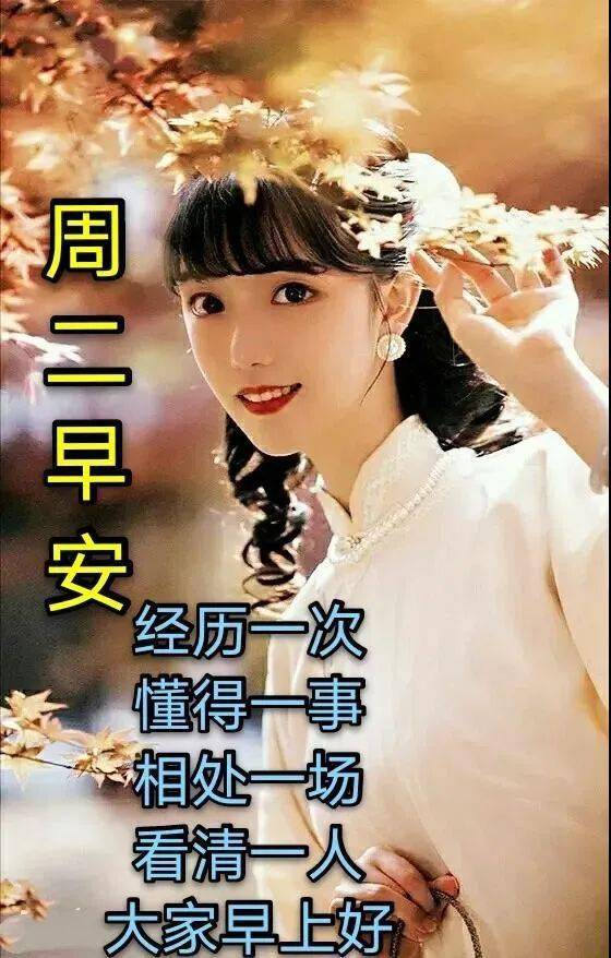 探寻美的起源与演变，早期美之图揭秘历程