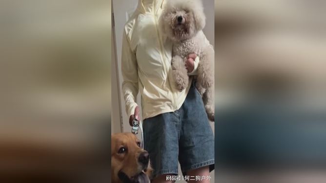 遛狗女孩的初心故事