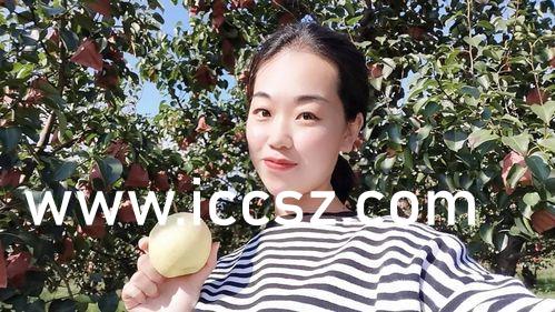 跃星 第2页