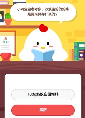 蚂蚁庄园今日答案揭秘地，探寻知识的奥秘之旅