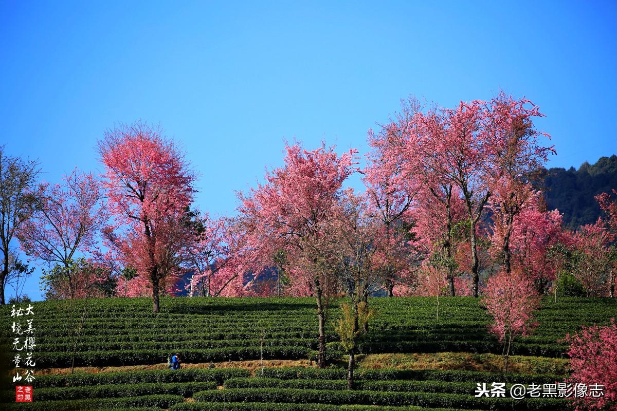 揭秘历史转折点，二十年前的消息起源与影响深度探究