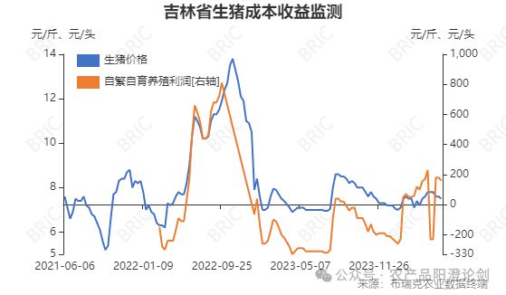 吉林今日生猪猪价动态解析
