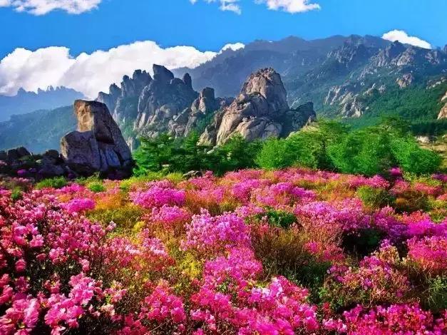 解忧小村落兑换码揭秘，游戏世界的秘密起源探索
