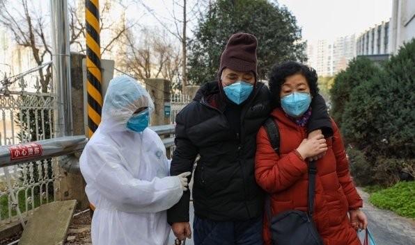 全球疫情最早情况深度解析