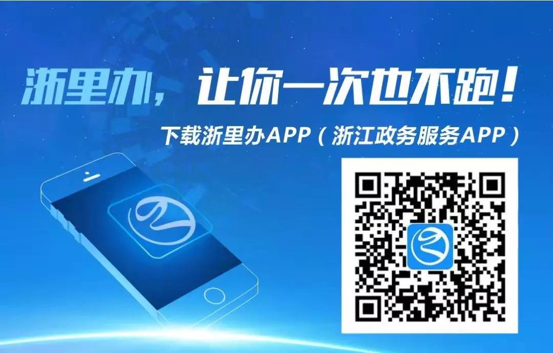 浙里办早期版本，数字政务的初心与革新之路