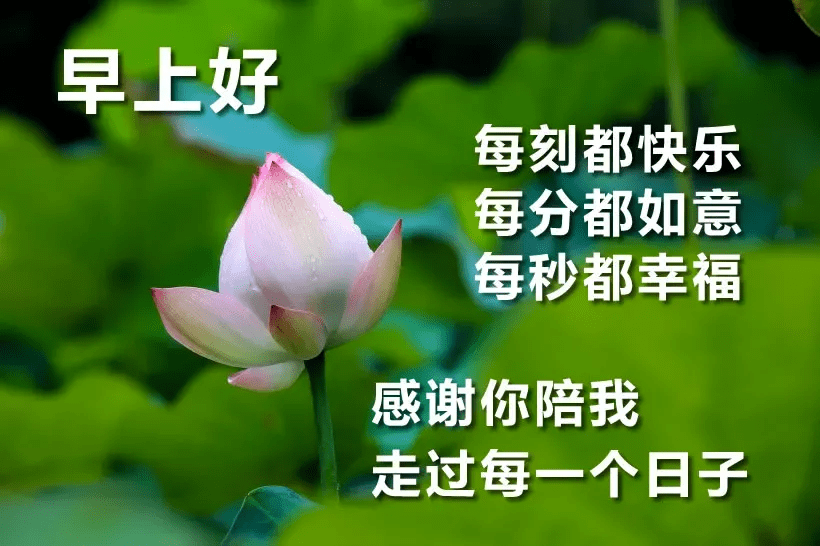 微信早安图片，清晨温馨问候与情感交流的新风尚