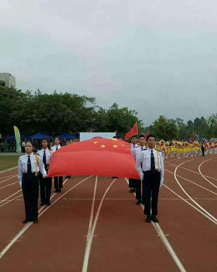 化州最新新闻报道速递