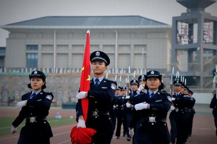 山东最早高考分数揭秘，历史回顾与探寻之旅