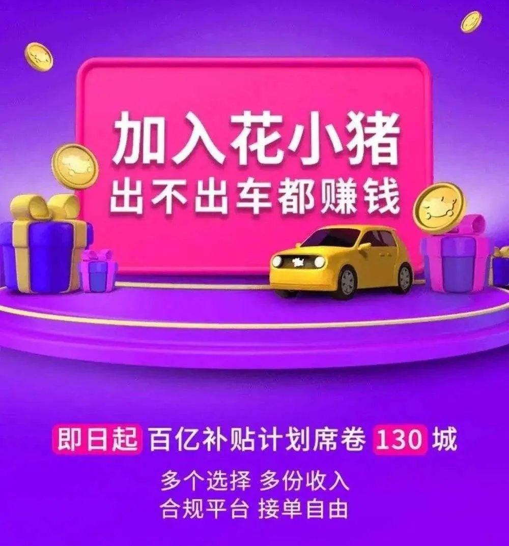 花小猪早期消息深度解析