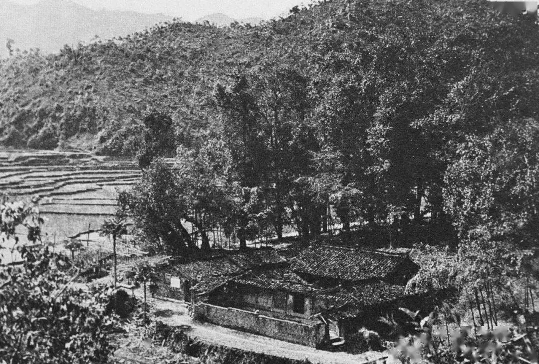 龙岩最早一期，历史沿革与早期发展概述