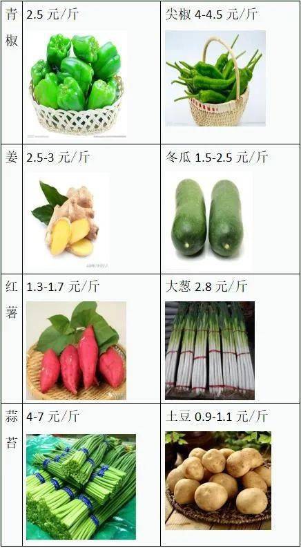 今日青椒价格行情初探