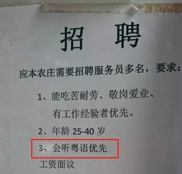 上海日企招聘早期信息揭秘，探寻早期招聘信息的源头与细节