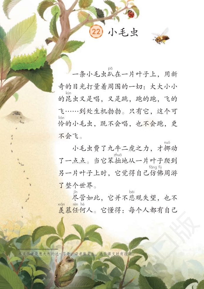 小学语文部编版的发展历程及其深远影响
