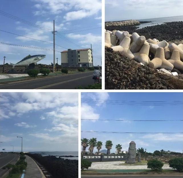 济州岛免签政策起源及旅游发展与历史背景深度解析