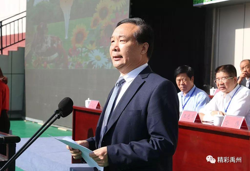 楚雷探源，揭开历史迷雾，探寻起源与发展