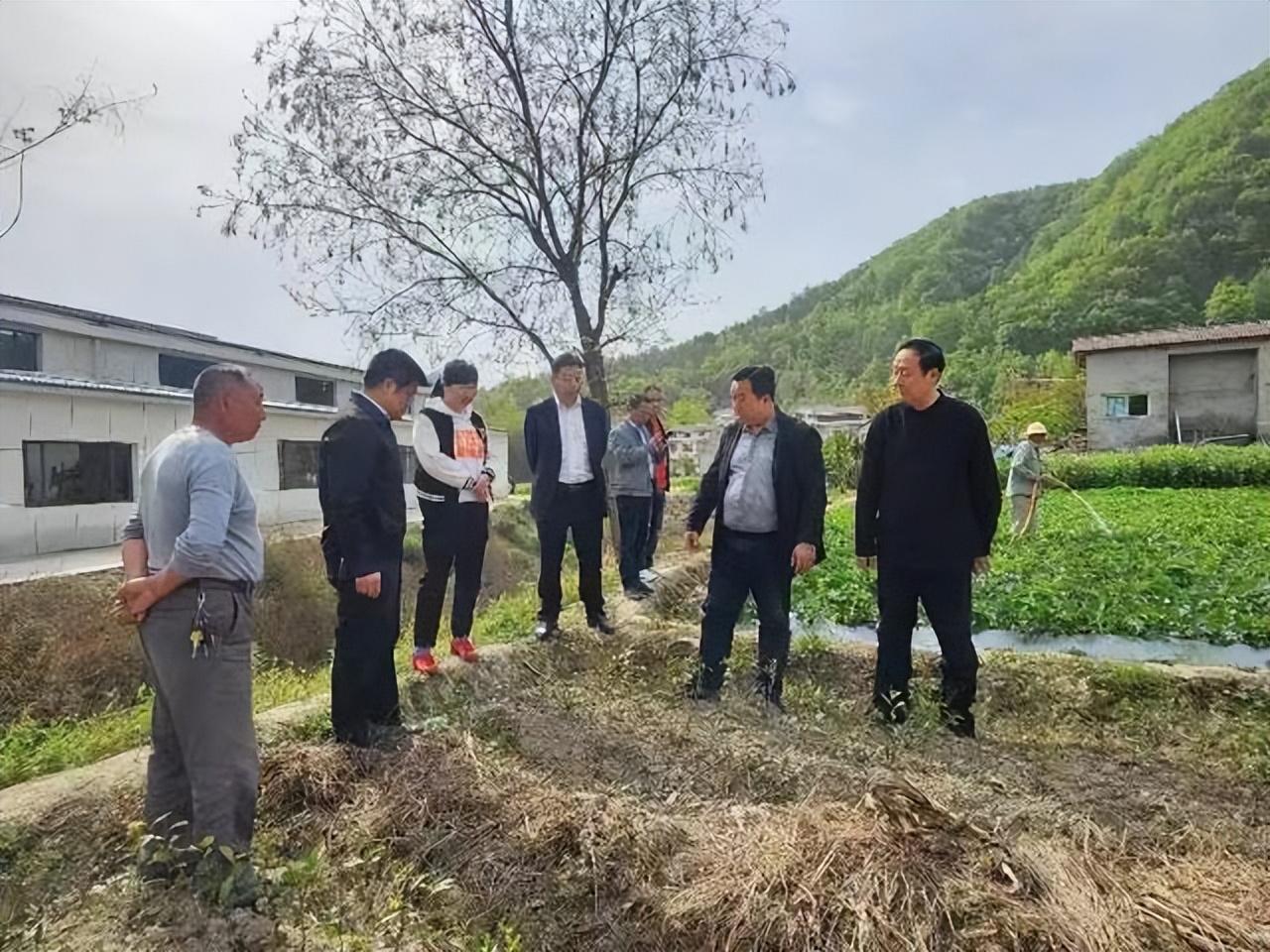 辛巴与华为携手开启跨界合作盛宴，首场直播盛宴盛大开启