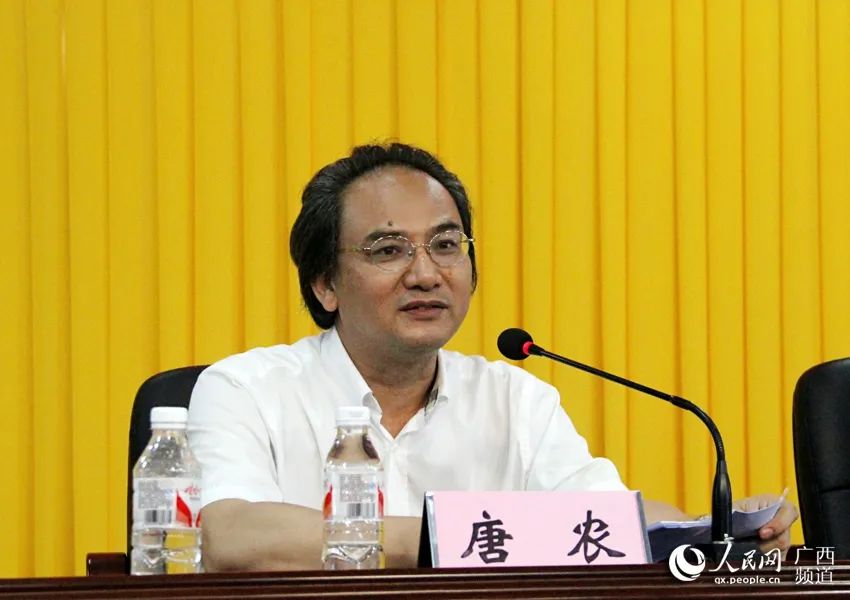 唐农起源揭秘，揭开历史面纱，探寻最早消息