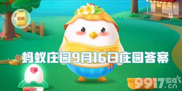 蚂蚁庄园今日答案揭晓，探索智慧与知识的交汇点之旅