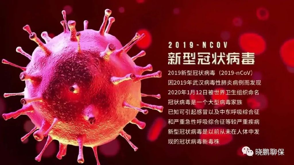 最早冠状病毒疫情公布及其全球影响概览