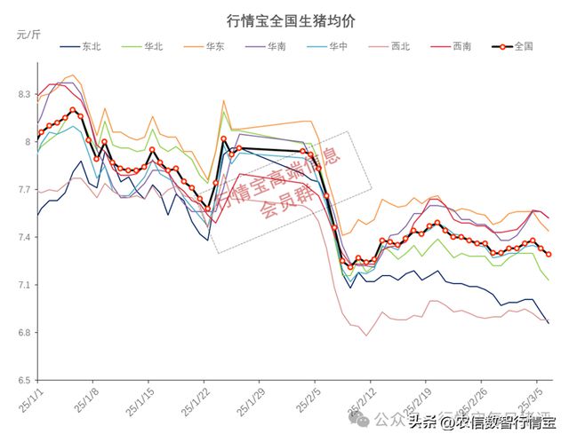 今日猪价最早报价，洞悉市场动态，深度解析猪肉价格走势