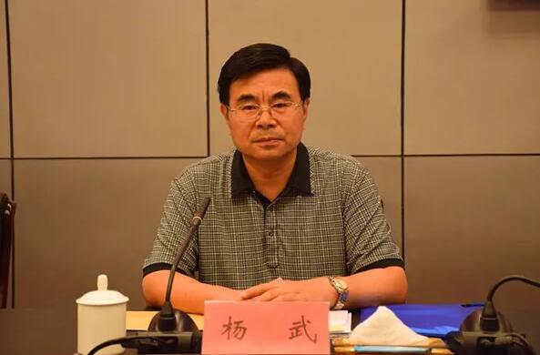 揭秘传奇人物杨武的前世今生