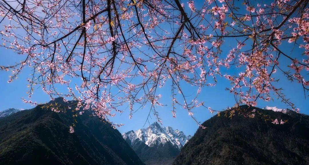 西藏林芝，探寻远古消息与历史的印记
