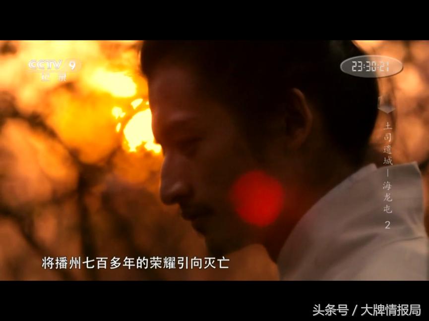央视考古揭秘，人类文明的起源与变迁探索
