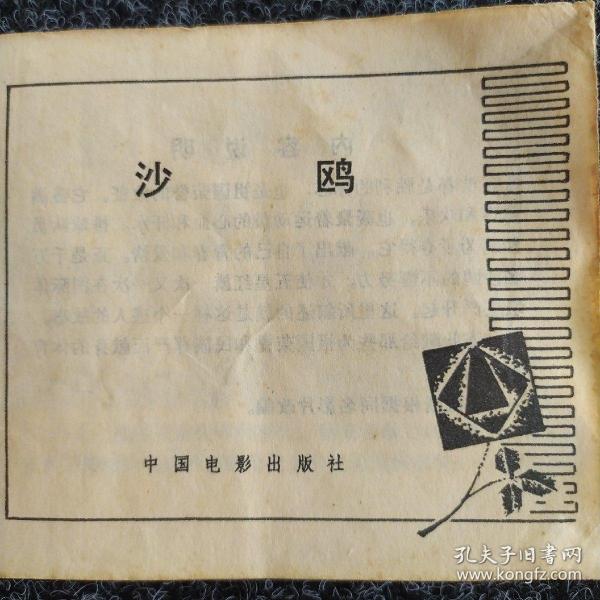 沙鸥历史版本之魅力探寻