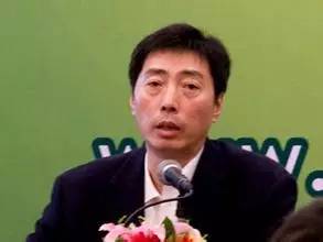 揭秘李少军，早期足迹与深远影响