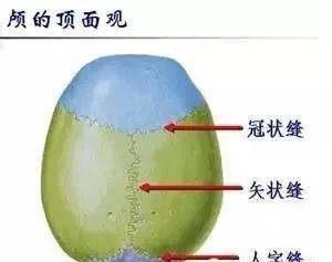 探究jingziwo精子窝最早地址的起源