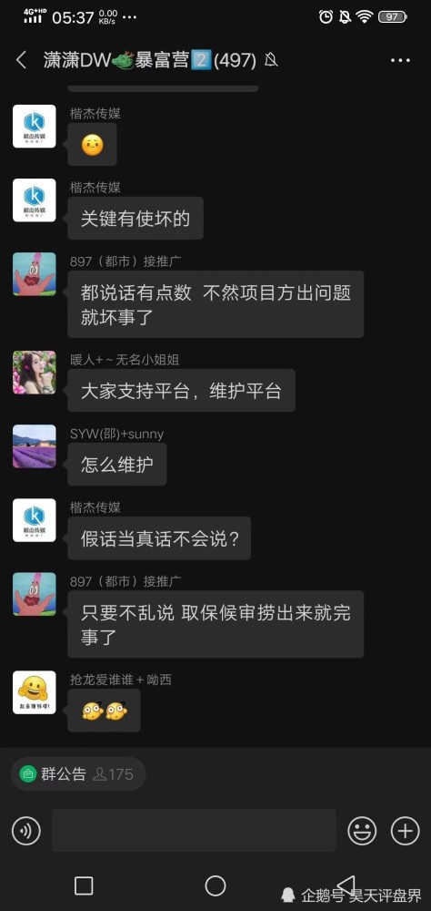 DWWorld揭秘动物世界最新动态，探索未知，传递早期消息