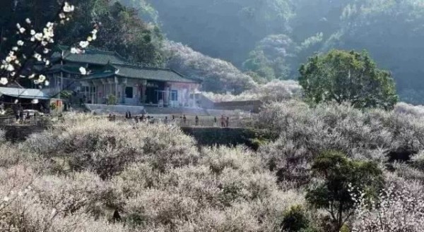 陆河起源与变迁揭秘，探索未知的早期消息