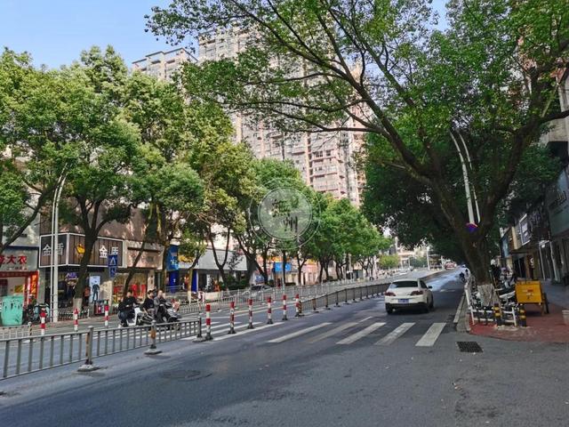 赣新大道揭秘，早期消息与道路背后的故事与期待