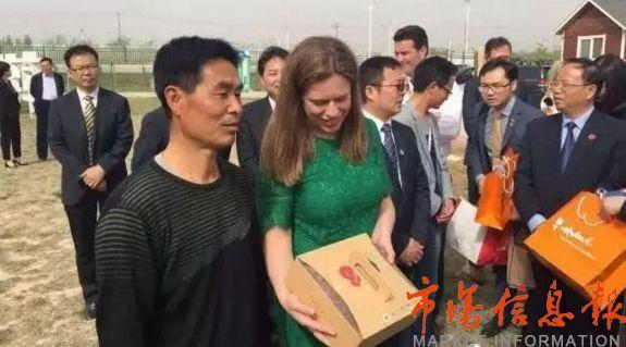 春平最新消息揭秘，春风之韵的序幕已拉开