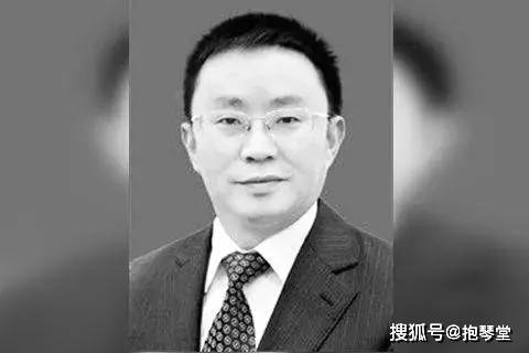 毛洪涛事件最新进展，探索之路与启示