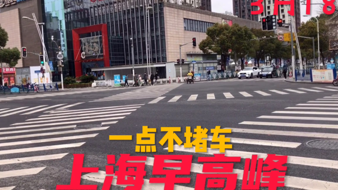 上海疫情最新消息今日更新报告概览