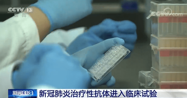 新冠肺炎疫惰最早信息及其影响深度解析