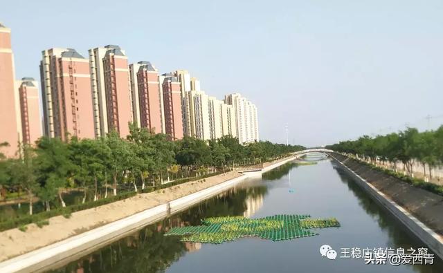 王稳庄二期发展历程回顾与未来前景展望